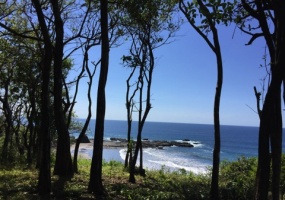 San Juanillo,Guanacaste,Finca,1011