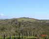 Tilarán,Guanacaste,Finca,1013