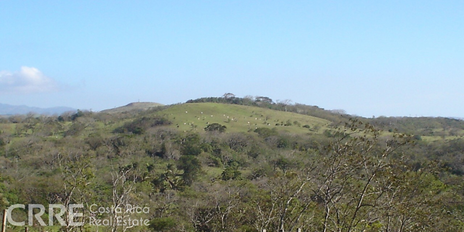 Tilarán,Guanacaste,Finca,1013