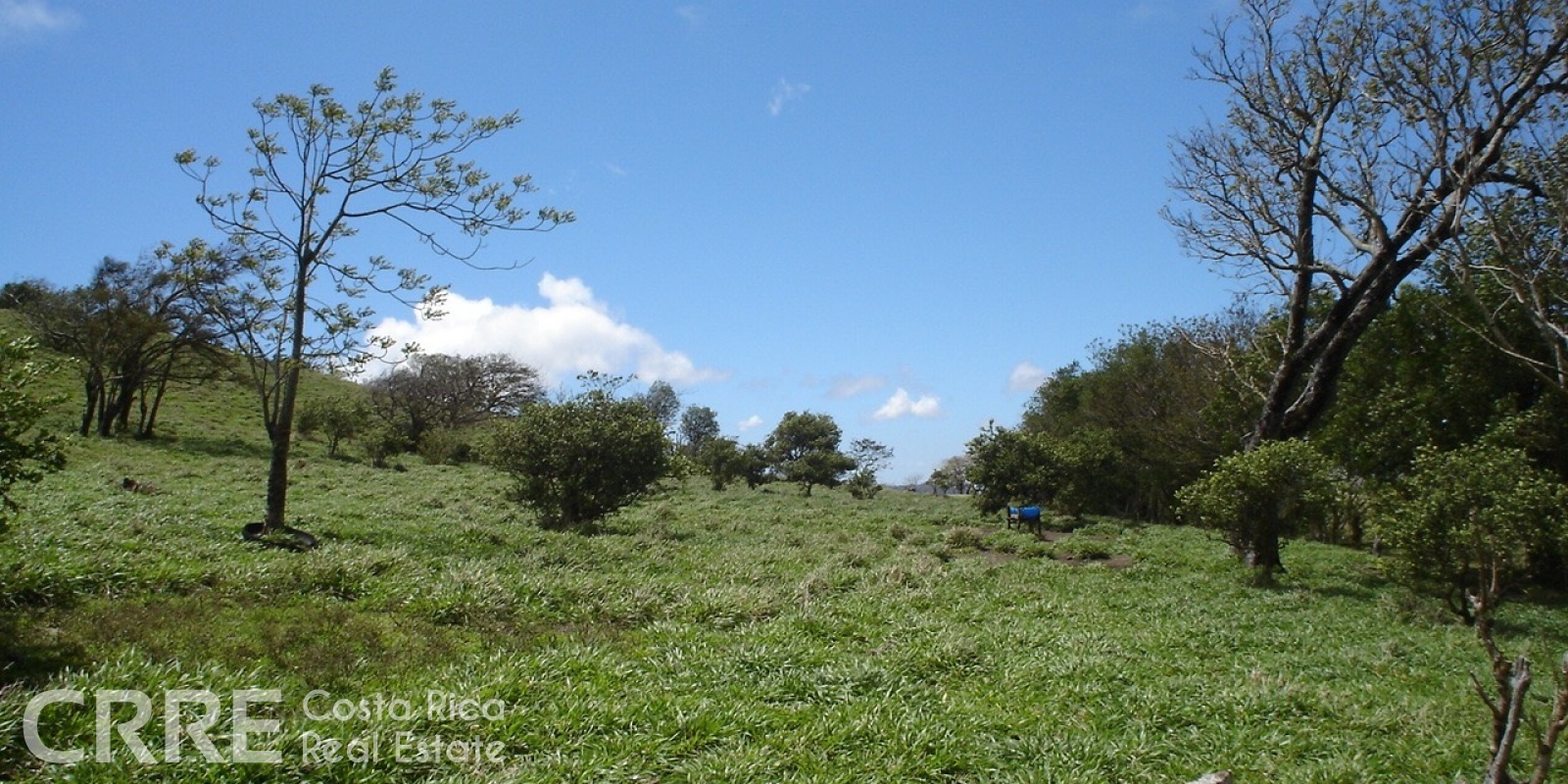 Tilarán,Guanacaste,Finca,1013