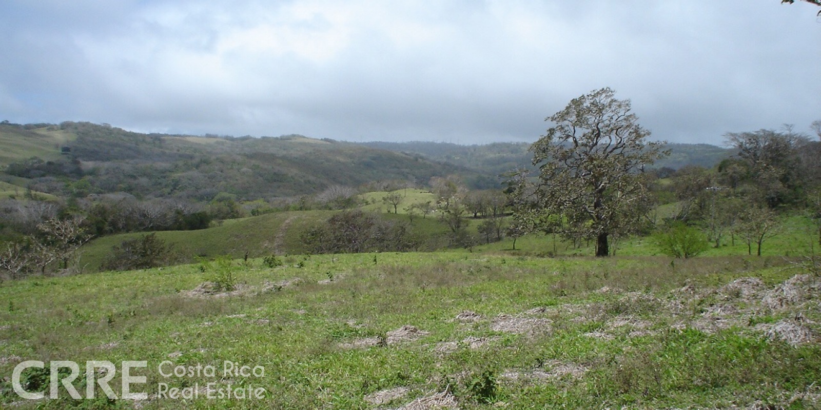 Tilarán,Guanacaste,Finca,1013