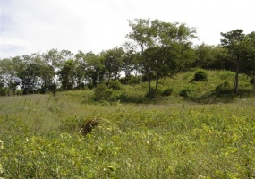 El Jobo, La Cruz, Guanacaste, ,Lote,Lotes en Venta,1020