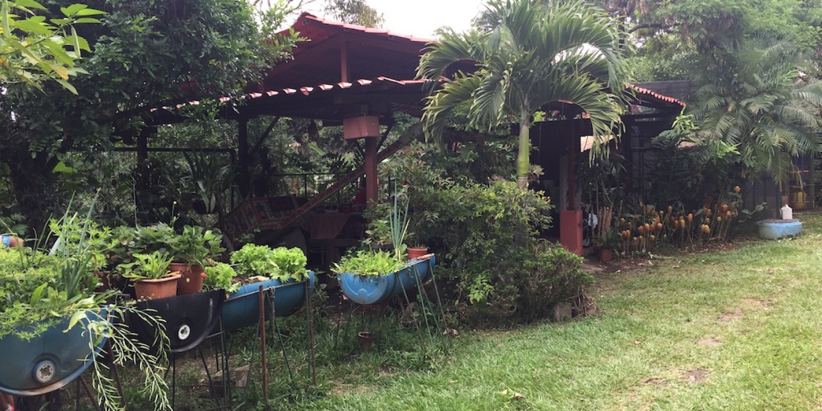 San Miguel, Desamparados, San José, 4 Bedrooms Bedrooms, ,4 BathroomsBathrooms,Finca,Casas en Venta,1038