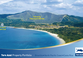 Brasilito, Santa Cruz, Guanacaste, ,Finca,Fincas en Venta,1004