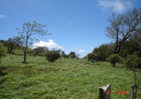 Santa Rosa, Tilarán, Guanacaste, ,Finca,Fincas en Venta,1041
