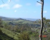Santa Rosa, Tilarán, Guanacaste, ,Finca,Fincas en Venta,1041