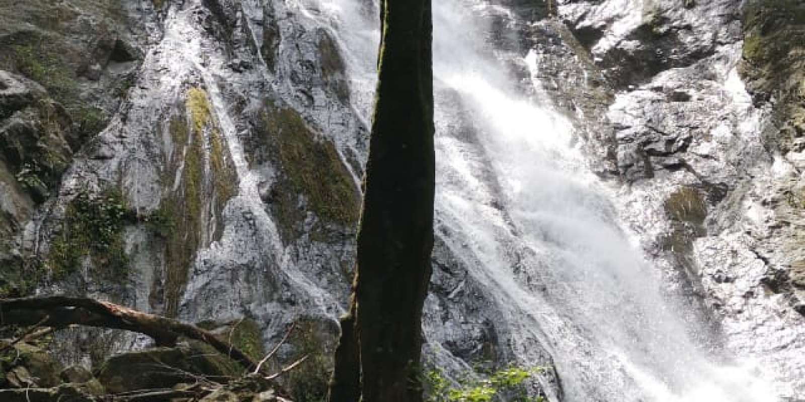 Nandayure, Guanacaste, ,Finca,Fincas en Venta,1046