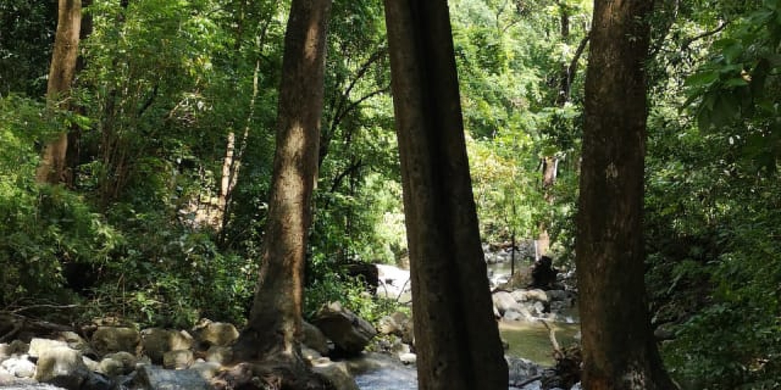 Nandayure, Guanacaste, ,Finca,Fincas en Venta,1046