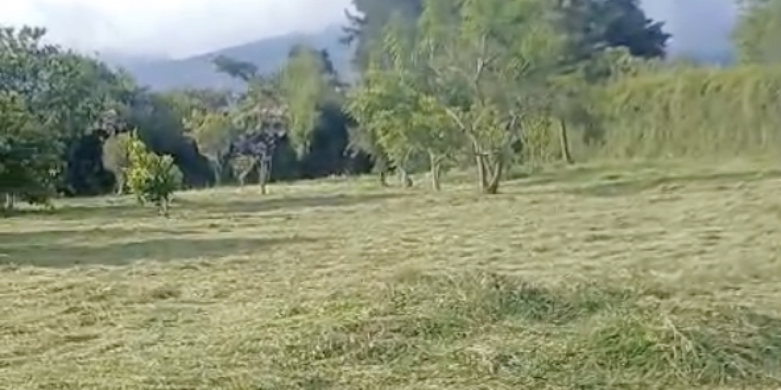 Las Gemas, San Isidro, Heredia, ,Lote,Locales en Venta,Las Gemas,1050