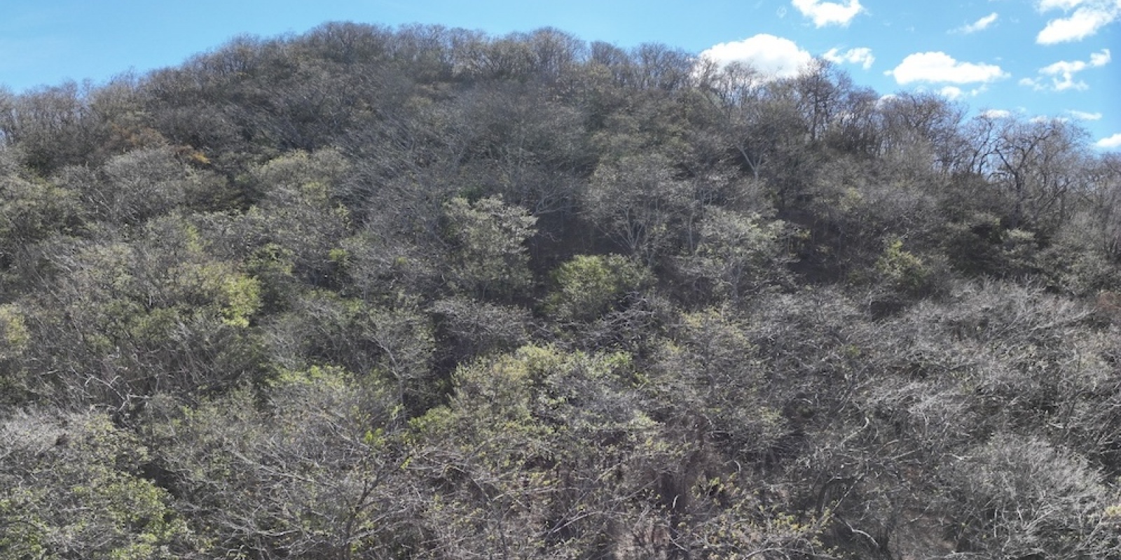 La Cruz de Guanacaste