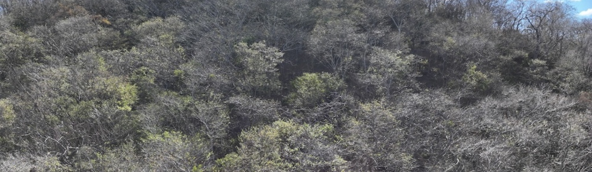 La Cruz de Guanacaste