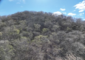 La Cruz de Guanacaste