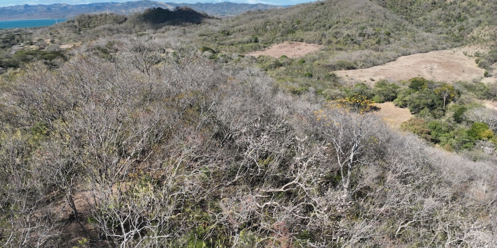 La Cruz de Guanacaste
