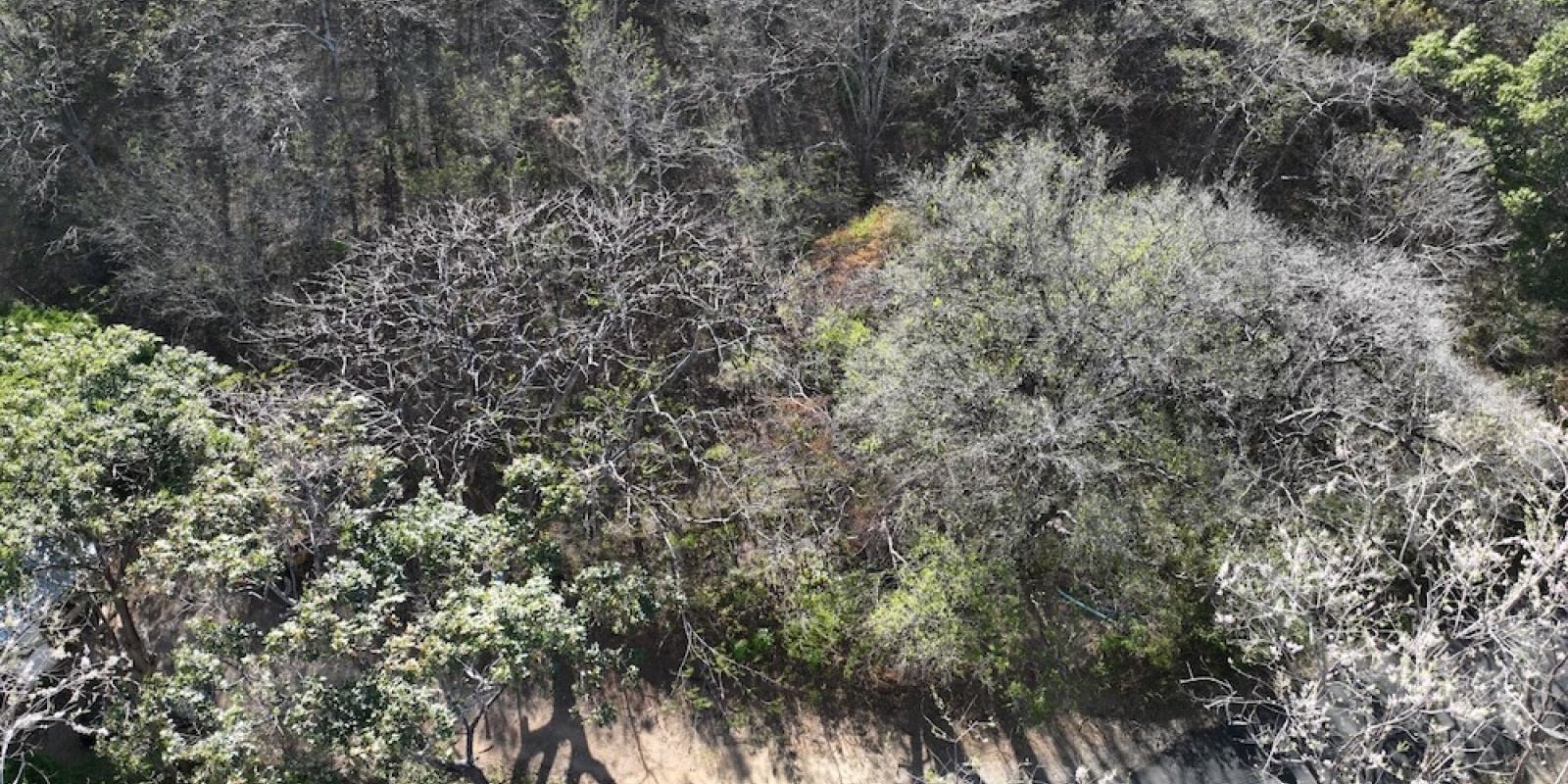 La Cruz de Guanacaste