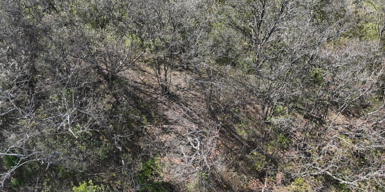 La Cruz de Guanacaste