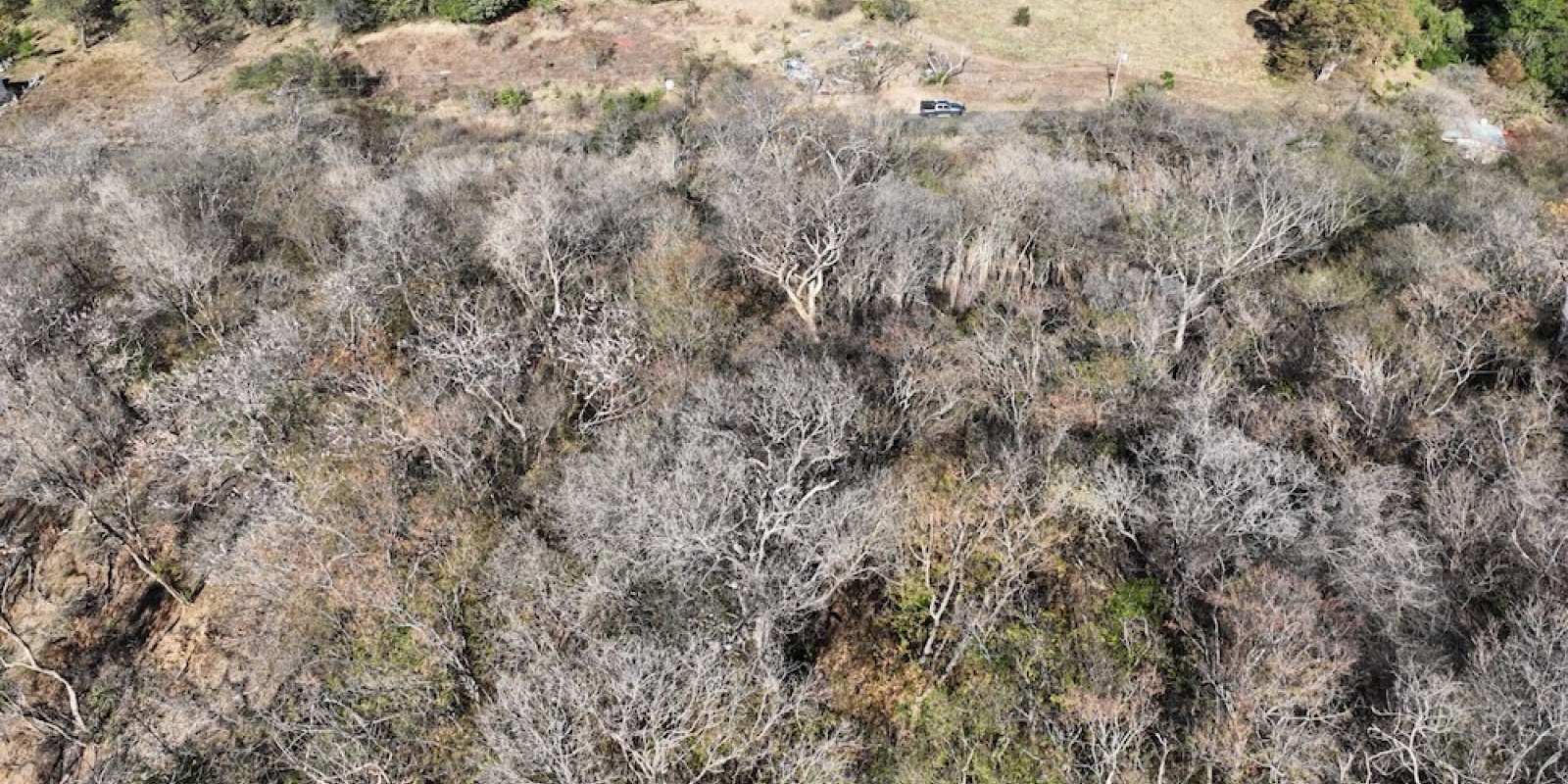 La Cruz de Guanacaste