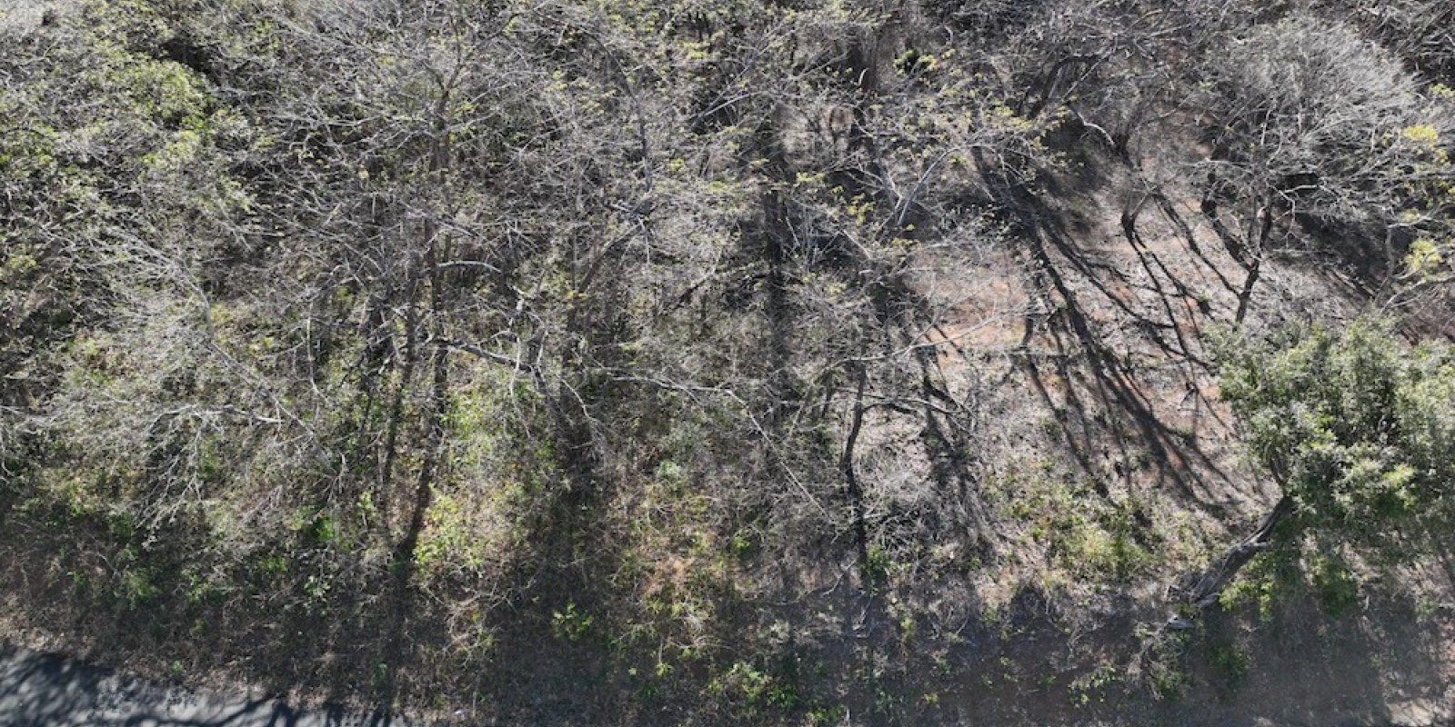 La Cruz de Guanacaste