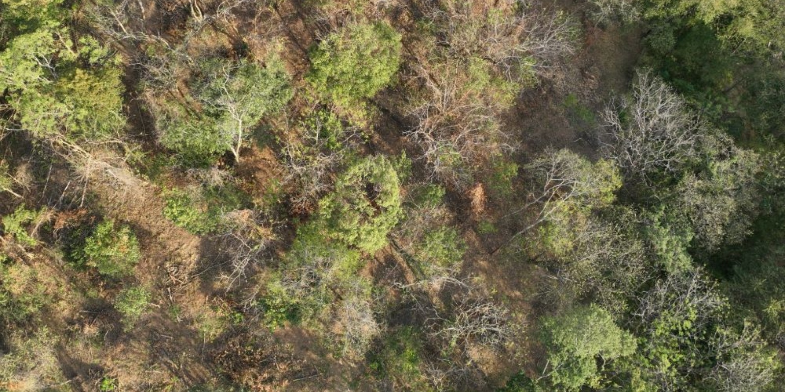 Finca La Cruz de Guanacaste