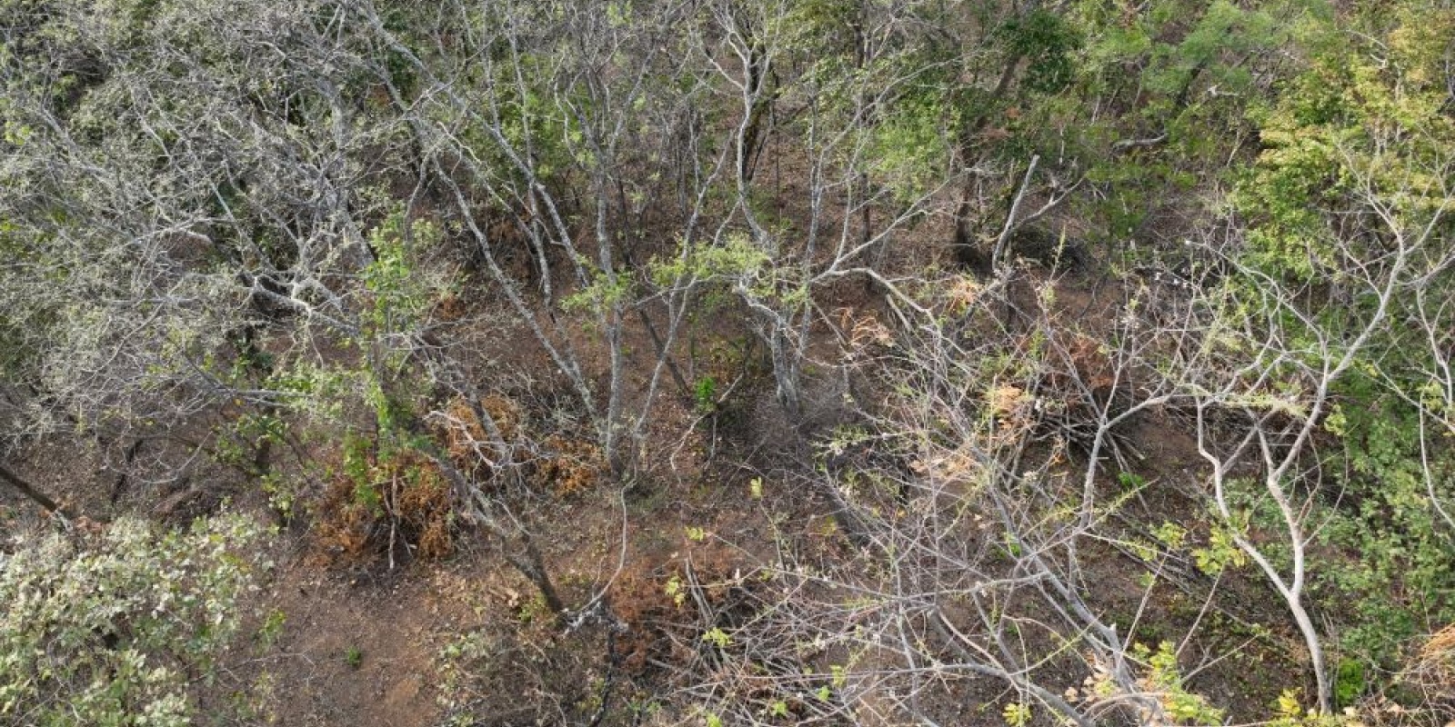Finca La Cruz de Guanacaste