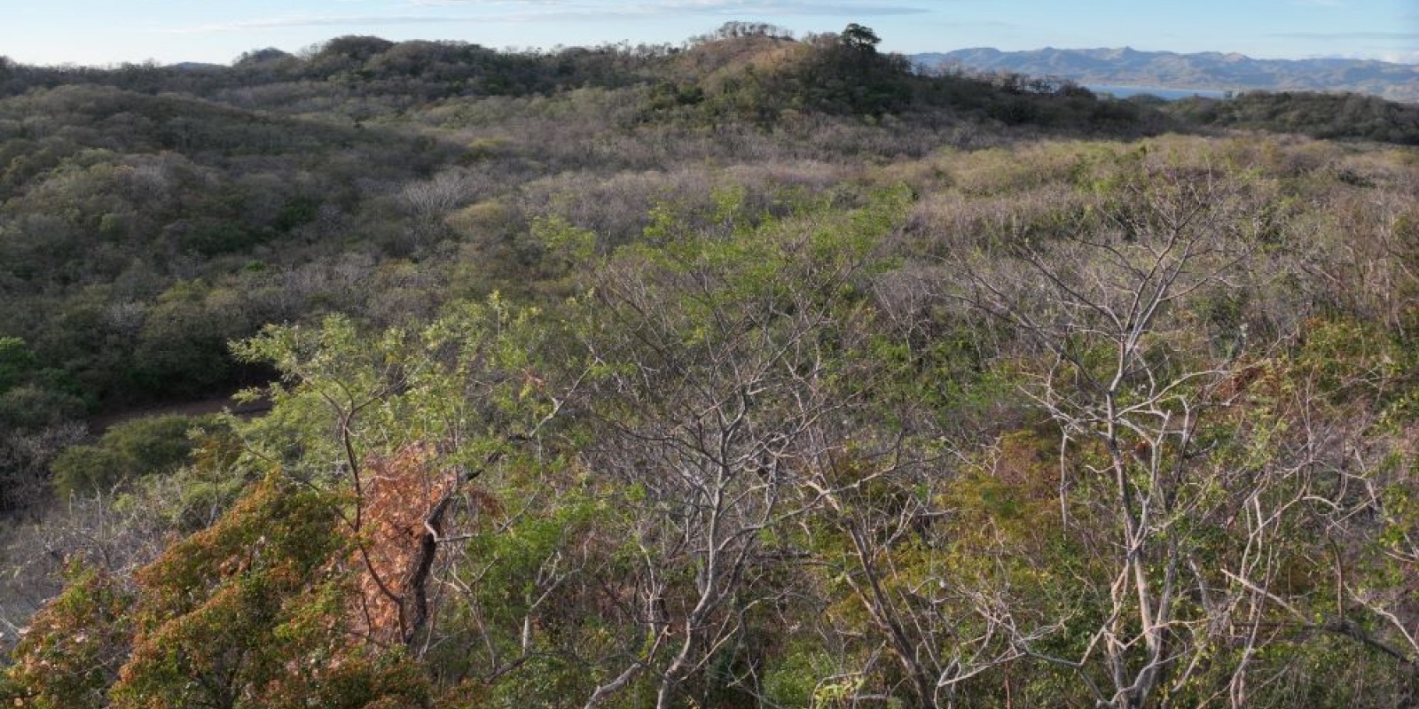 Finca La Cruz de Guanacaste