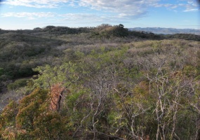 Finca La Cruz de Guanacaste