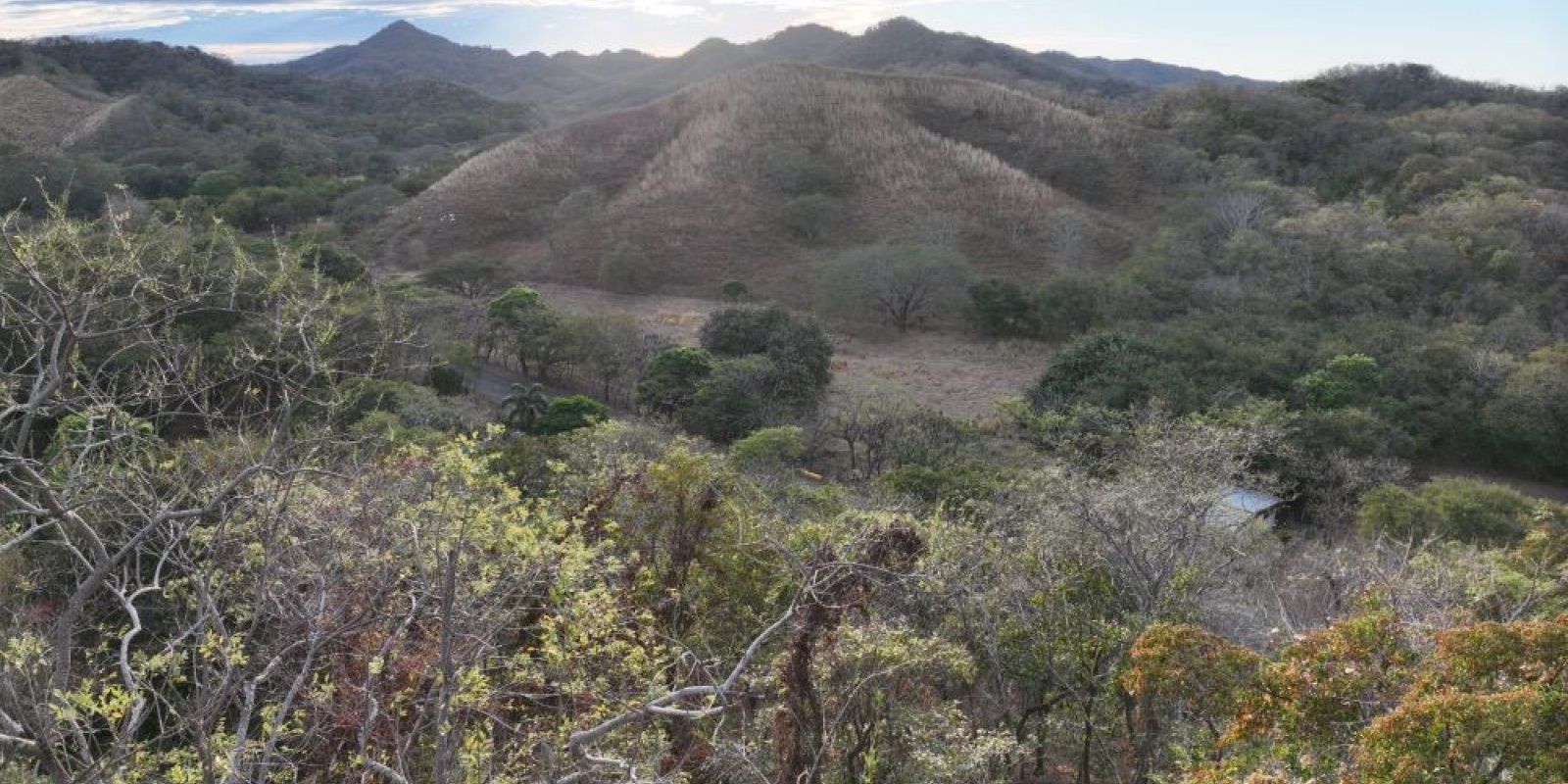Finca La Cruz de Guanacaste