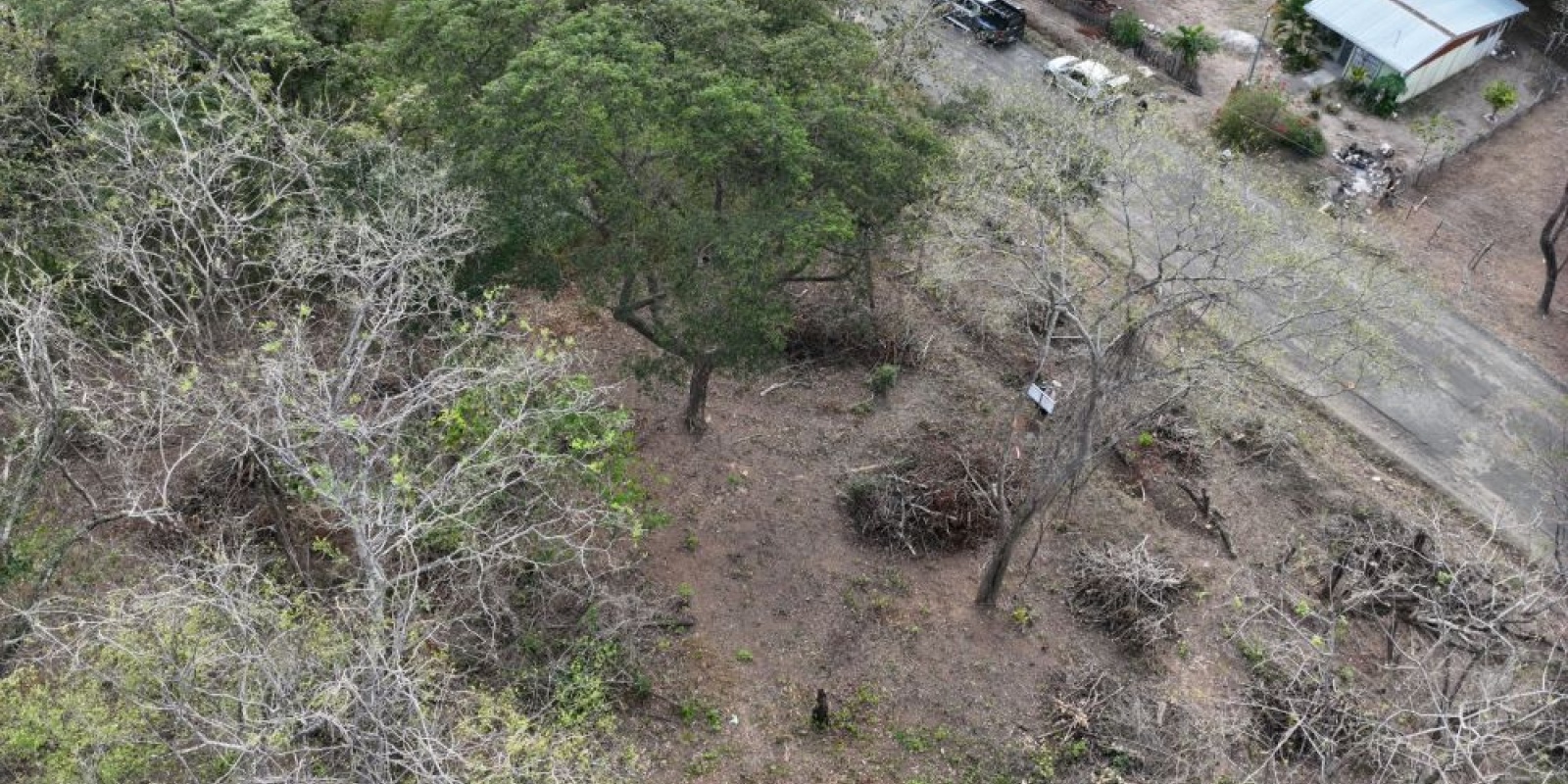 Finca La Cruz de Guanacaste
