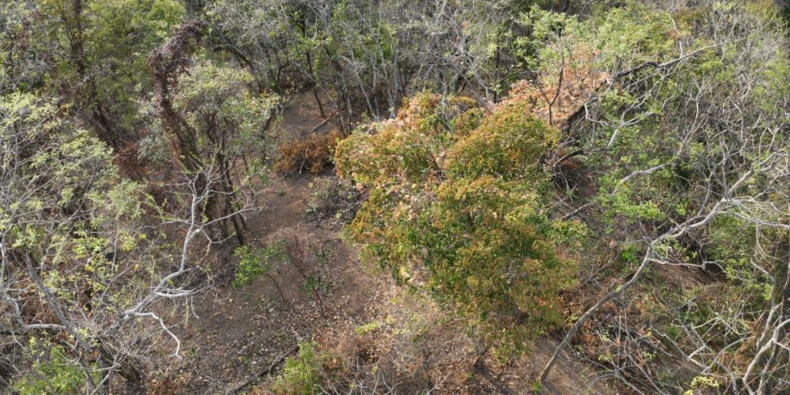 Finca La Cruz de Guanacaste