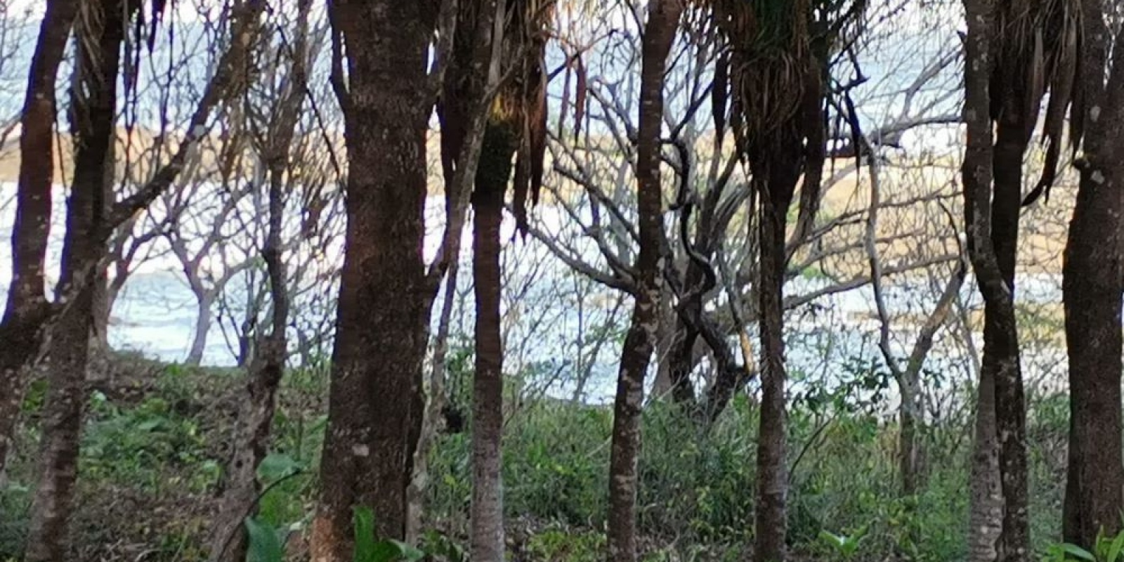 Finca playa azul en Marbella