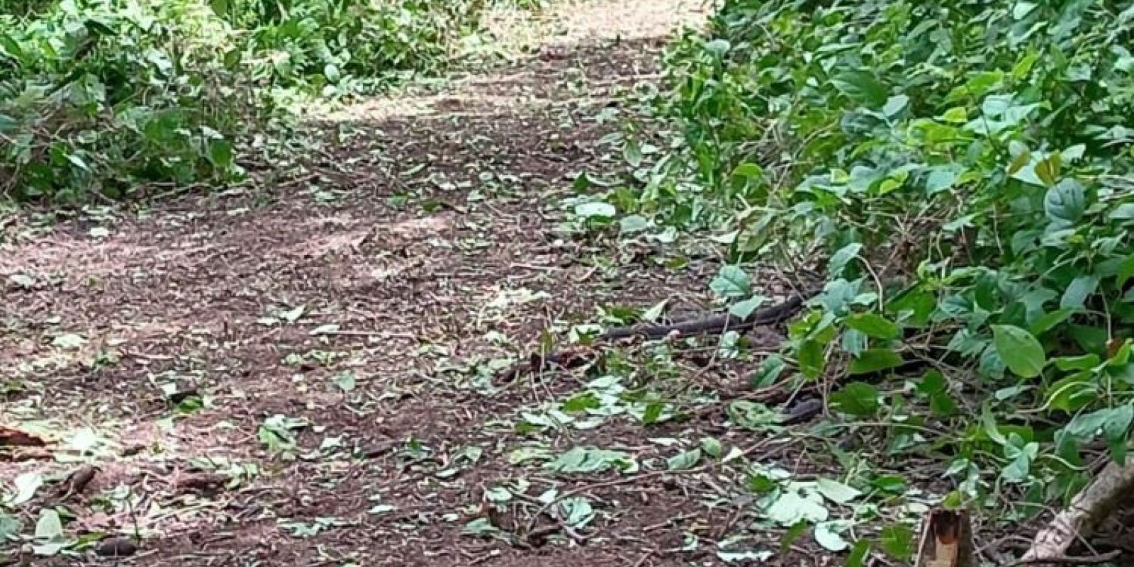 Finca playa azul en Marbella