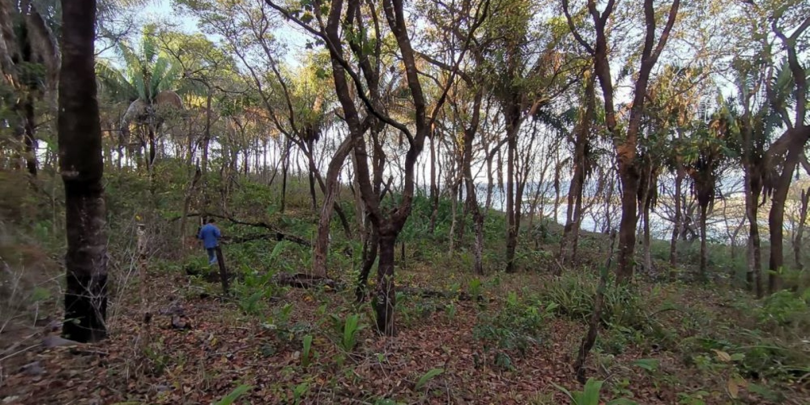 Finca playa azul en Marbella