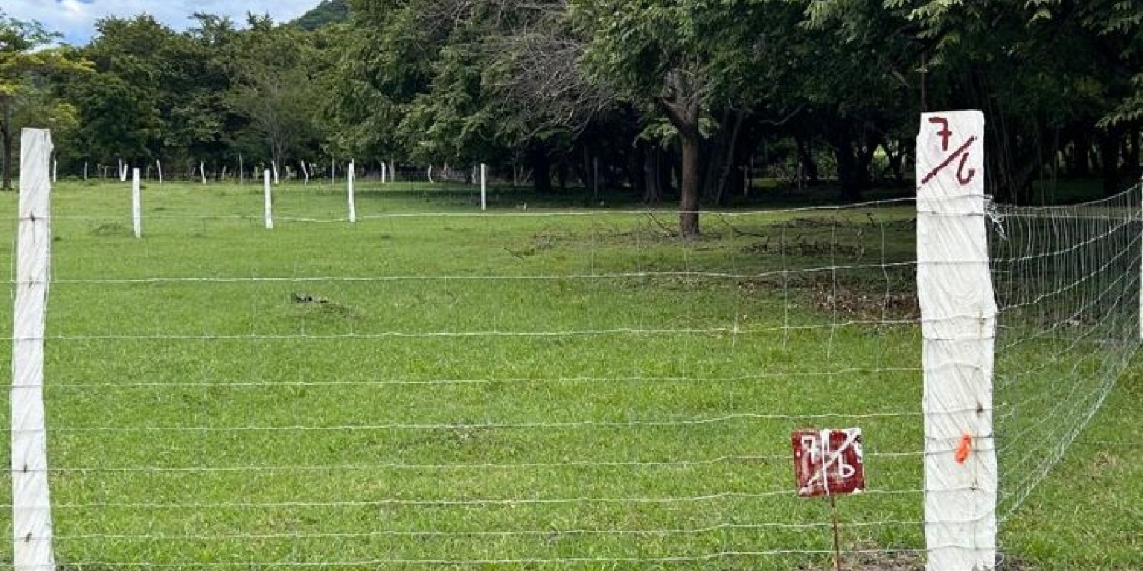 Cuatro lotes en La Cruz