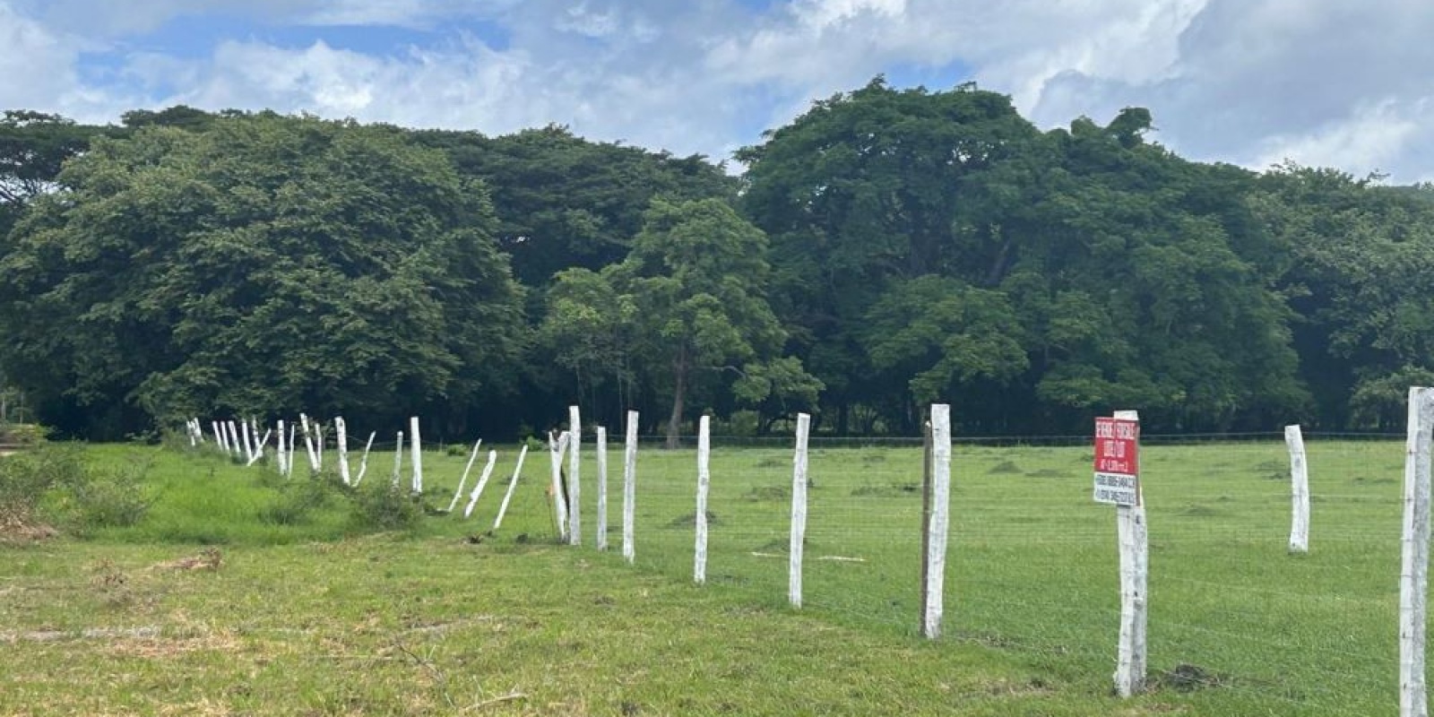 Cuatro lotes en La Cruz