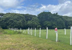 Cuatro lotes en La Cruz