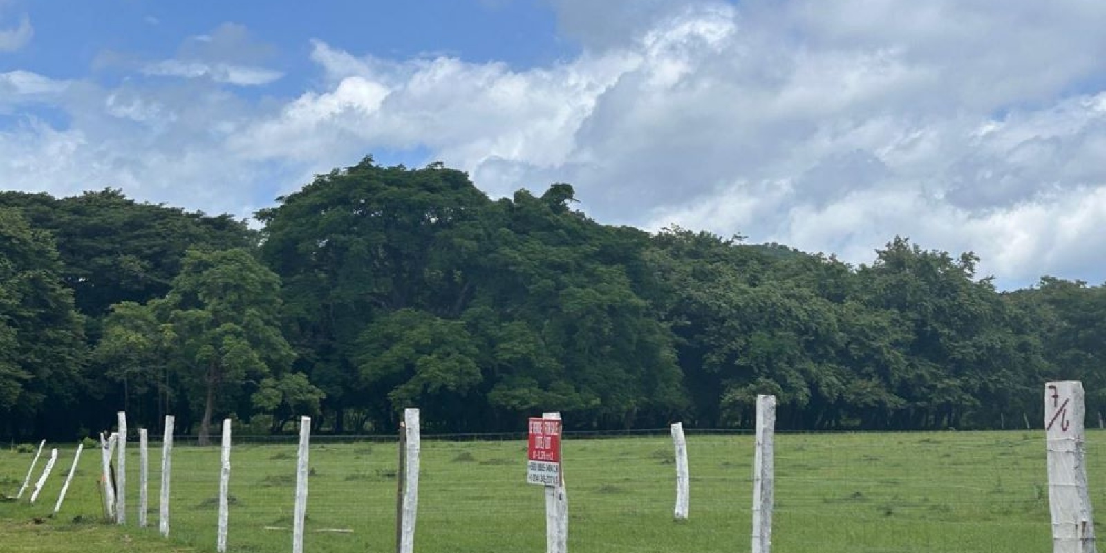 Cuatro lotes en La Cruz