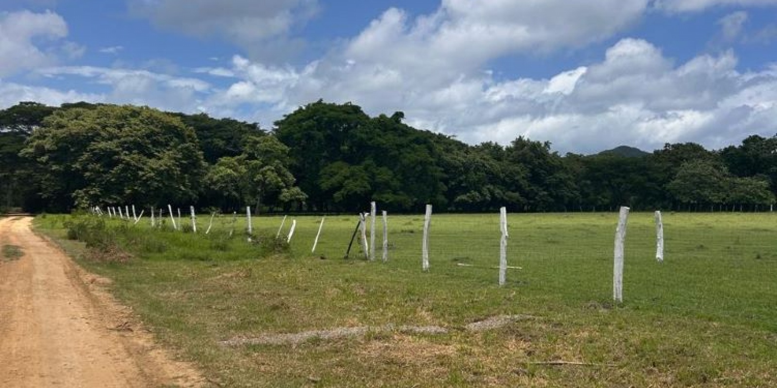 Cuatro lotes en La Cruz