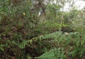 Navarro,Cartago,Finca,1007